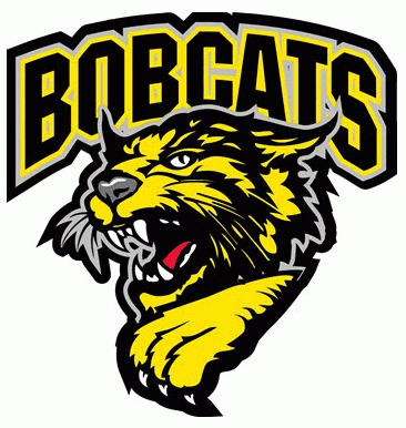 bismarck bobcats 2004-2006 primary logo iron on transfers for T-shirts